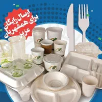 ظروف یک بار مصرف