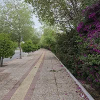 زمین جنوب جم معاوضه با منزل دو واحدی