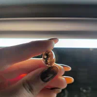 شجر بسیار زیبا