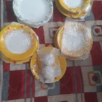 چینی ارکاکول قیمت ارزان