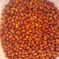 انواع سنجد تازه امسال|خوردنی و آشامیدنی|خسروشاه, |دیوار