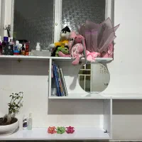 کتابخونه دیواری|کتابخانه، شلف، قفسه‌های دیواری|شیراز, تل حسین‌آباد|دیوار