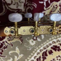 گیتار pao chia|گیتار، بیس، امپلیفایر|تهران, پونک|دیوار