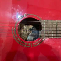 گیتار کاملا نو|گیتار، بیس، امپلیفایر|مشهد, سید رضی|دیوار