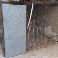 طور مرغ