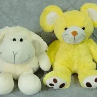 عروسک پولیشی درحدنو