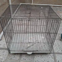 دوعددقفس سایز۴۰|لوازم جانبی حیوانات|شیراز, دارالرحمه|دیوار