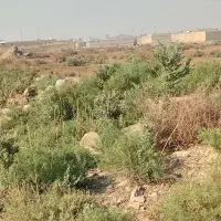 ۲قطعه زمین۱۲۵متری  درملاشیه خ۱۶کمربندی تاکسی یوسف|فروش زمین و ملک کلنگی|اهواز, ملاشیه|دیوار