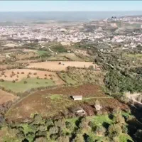 فروش یک قطعه زمین کشاورزی|فروش زمین و ملک کلنگی|خلیل شهر, |دیوار