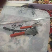 دارتابلو فرش با کلیه وسایل