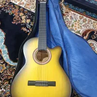 گیتار دیاموند