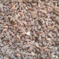 کشمش آفتابی.  مالخلیفه