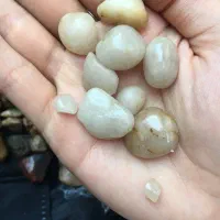 عقیق شجر،یمنی، مناسب برای جواهر سازی و کالکشنر|جواهرات|ساری, |دیوار