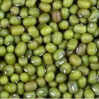 فروش ماش ماشک محلی