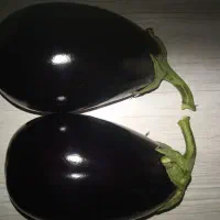 گلخانه بادمجان اجاره داده میشود|اجارهٔ دفتر صنعتی، کشاورزی، تجاری|جیرفت, |دیوار