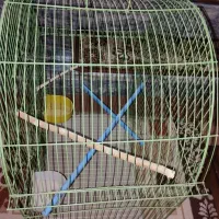 قفس پرنده|لوازم جانبی حیوانات|بروجرد, |دیوار