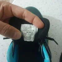 کتونی|کیف، کفش، کمربند|قرچک, میرزائی جنوبی|دیوار