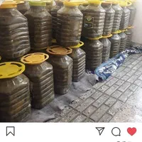 برگ دلمه درشت وتازه امسال|خوردنی و آشامیدنی|تهران, ازگل|دیوار