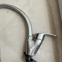 دو عدد شیر قهرمان