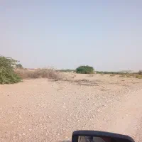 زمین کشاورزی|فروش دفتر صنعتی، کشاورزی، تجاری|فین, |دیوار