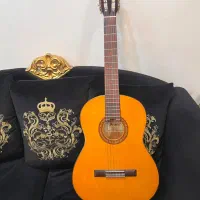 گیتار پرینس