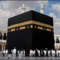 فیش سال ۸۶