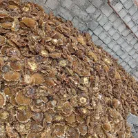 تفاله افتابگردان