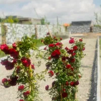 باغ ویلا ۷۰۰ متری شاهنامه پردیس ماریان