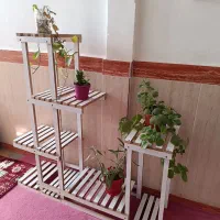 استند گل