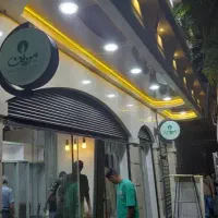 ریسه کشی دیزاین نما و داخل منزل و ماشین