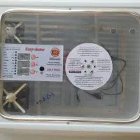 دستگاه جوجه کشی معامله با طوطی ملنگو|لوازم جانبی حیوانات|بافت, |دیوار