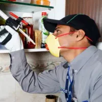 نابودی ضمانتی سوسک ها بی بو و سم پاشی (تخفیف ویژه)