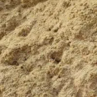 کاه گندم وجو