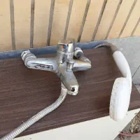 شیر حمام شیر دوش