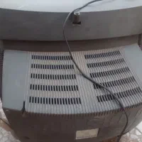 تلویزیون|تلویزیون و پروژکتور|زابل, |دیوار