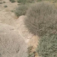 فروش زمین