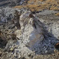 فروش محدوده باریت پروانه اکتشاف|عمدهفروشی|شاندیز, |دیوار