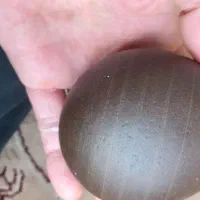 موبایل a03core|موبایل|دماوند, دماوند|دیوار