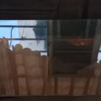 مبل|مبلمان خانگی و میز عسلی|تهران, شادآباد|دیوار