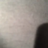 سرمایه گذار