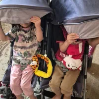 کالسکه دوقلو