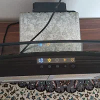 درسا هود|هود|رومشکان, |دیوار