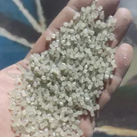 سرمایه گزار