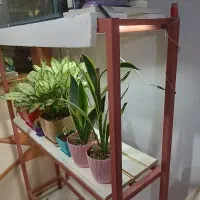 پایه آکواریوم