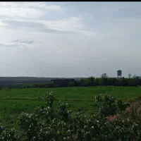 فروش-زمین