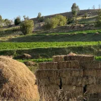 سله بن سد نمرود قواره زمین ۵۰۰۰ متری