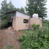 گلخانه فعال|فروش دفتر صنعتی، کشاورزی، تجاری|لنگرود, |دیوار