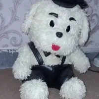 عروسک|اسباب‌بازی بچه|ایلام, |دیوار