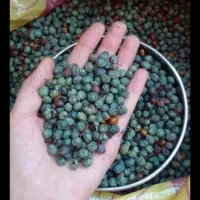 بن درجه یک|خوردنی و آشامیدنی|مسجد سلیمان, |دیوار