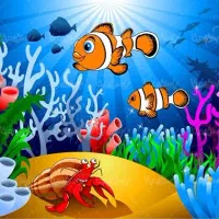 انواع آکواریوم کارکرده